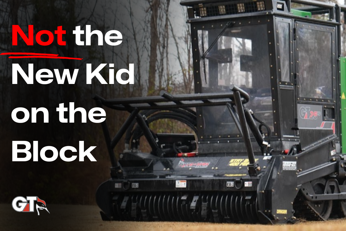 Not the New Kid on the Block: A 30-Year Walk Through History